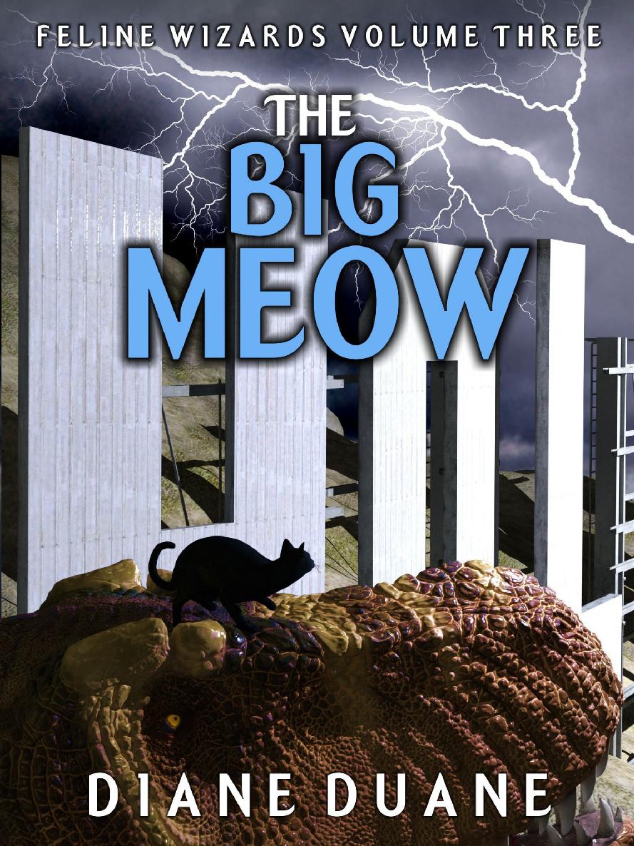 The Big Meow (Feline Wizards Volume 3)